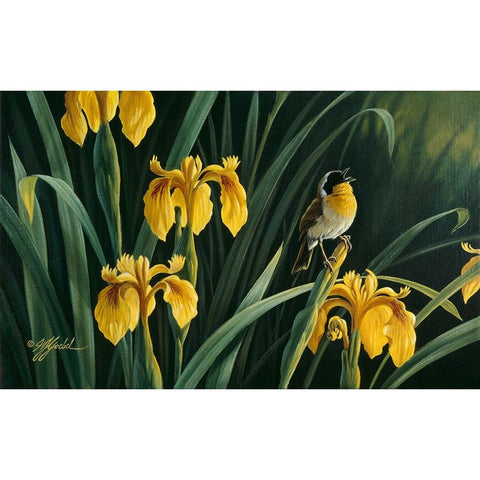Yellow Flags And Yellowthroat Gold Ornate Wood Framed Art Print with Double Matting by Goebel, Wilhelm