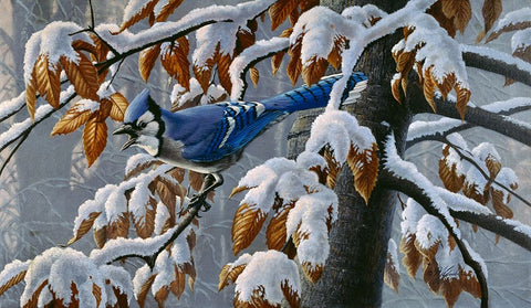 Changing Season Black Ornate Wood Framed Art Print with Double Matting by Goebel, Wilhelm