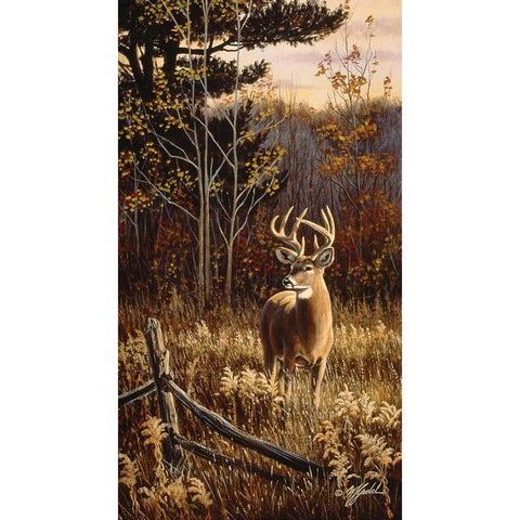 Autumn Whitetail Black Modern Wood Framed Art Print with Double Matting by Goebel, Wilhelm