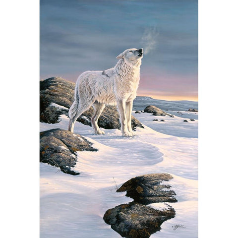 Arctic Song White Modern Wood Framed Art Print by Goebel, Wilhelm
