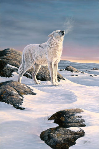 Arctic Song White Modern Wood Framed Art Print with Double Matting by Goebel, Wilhelm