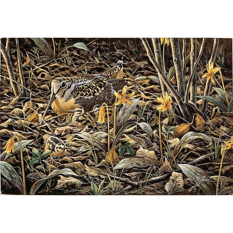 Early Brood - Woodcock Young Black Modern Wood Framed Art Print by Goebel, Wilhelm