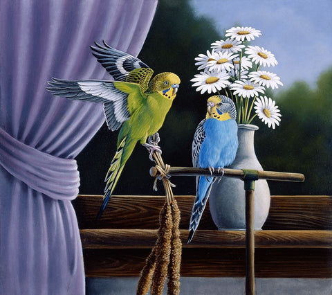 Parakeets White Modern Wood Framed Art Print with Double Matting by Goebel, Wilhelm