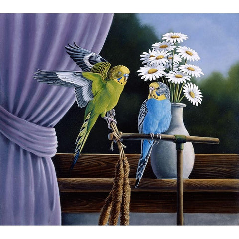 Parakeets Black Modern Wood Framed Art Print by Goebel, Wilhelm