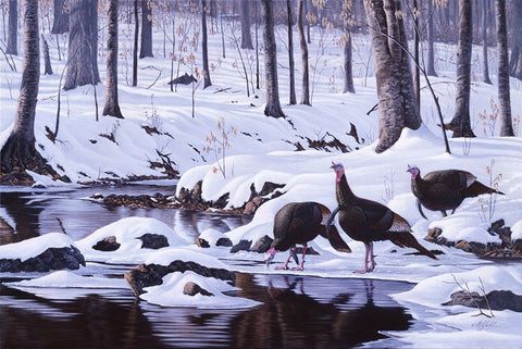 Hardwood Creek - Wild Turkeys Black Ornate Wood Framed Art Print with Double Matting by Goebel, Wilhelm