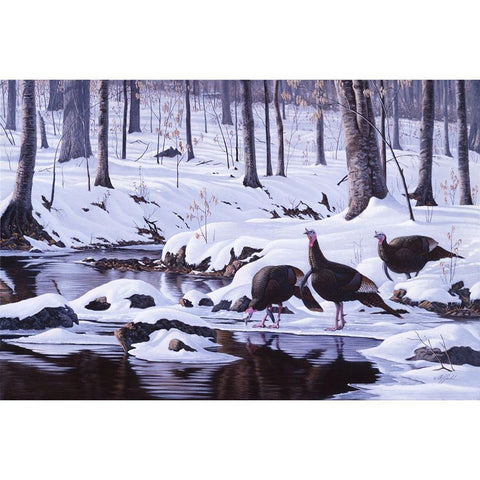 Hardwood Creek - Wild Turkeys Black Modern Wood Framed Art Print by Goebel, Wilhelm
