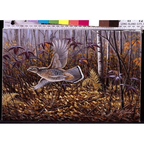 Silver Streak - Ruffed Grouse Black Modern Wood Framed Art Print by Goebel, Wilhelm