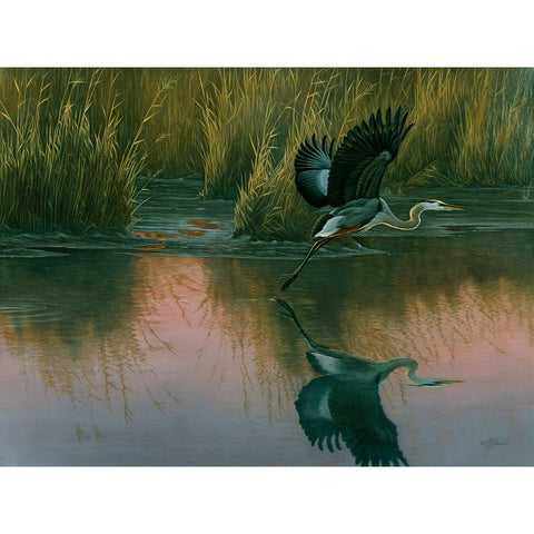 Evening Flight - Great Blue Heron White Modern Wood Framed Art Print by Goebel, Wilhelm