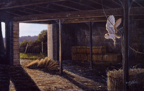 On Silent Wings - Barn Owl White Modern Wood Framed Art Print with Double Matting by Goebel, Wilhelm