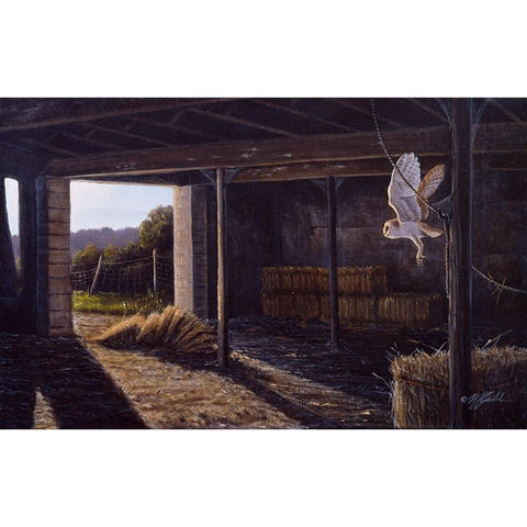 On Silent Wings - Barn Owl Black Modern Wood Framed Art Print by Goebel, Wilhelm