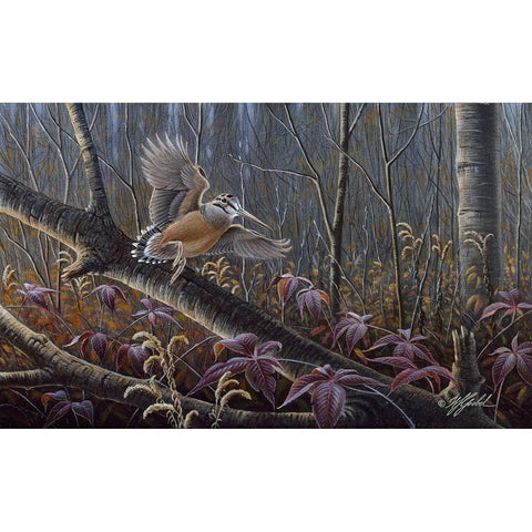 Windfall Woodcock Black Modern Wood Framed Art Print with Double Matting by Goebel, Wilhelm