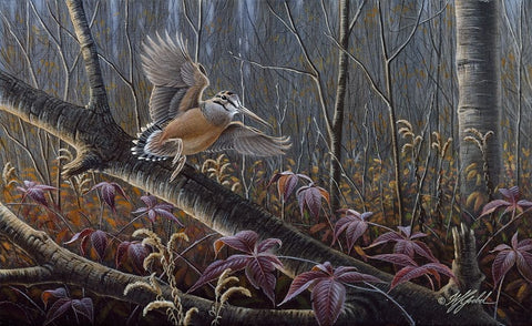 Windfall Woodcock Black Ornate Wood Framed Art Print with Double Matting by Goebel, Wilhelm