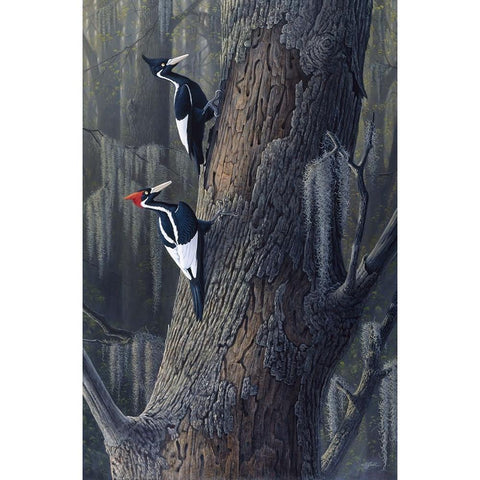 Legends Of The Pearl Gold Ornate Wood Framed Art Print with Double Matting by Goebel, Wilhelm