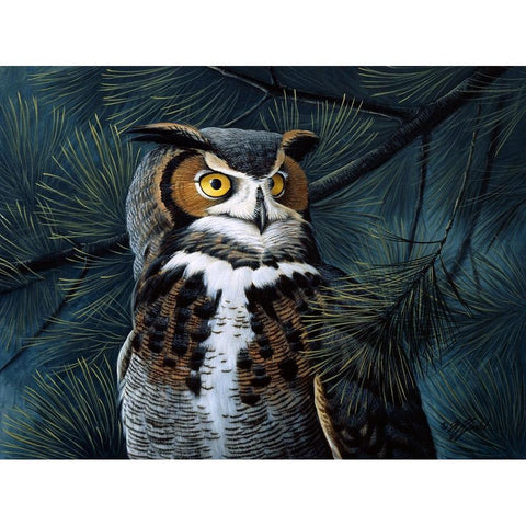 Portrait In The Pines - Great Horned Owl Black Modern Wood Framed Art Print with Double Matting by Goebel, Wilhelm