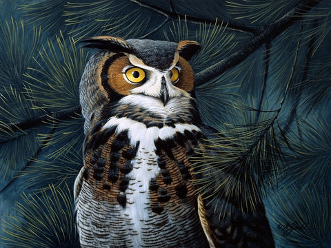 Portrait In The Pines - Great Horned Owl White Modern Wood Framed Art Print with Double Matting by Goebel, Wilhelm