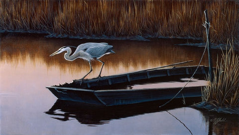 Vantage Point - Great Blue Heron White Modern Wood Framed Art Print with Double Matting by Goebel, Wilhelm