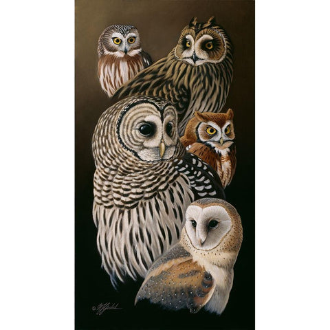 Eyes Of The Night - Owls White Modern Wood Framed Art Print by Goebel, Wilhelm