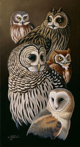 Eyes Of The Night - Owls White Modern Wood Framed Art Print with Double Matting by Goebel, Wilhelm