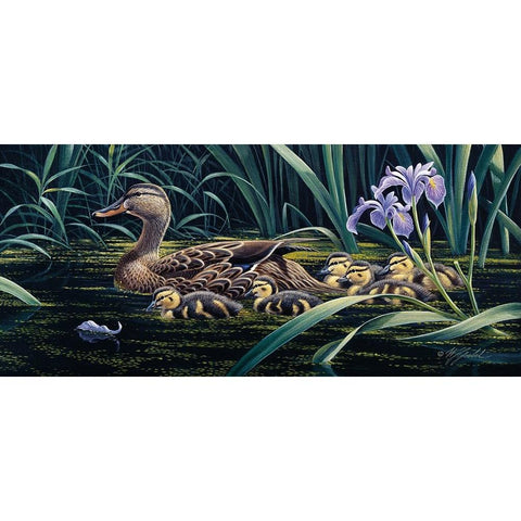 Mothers Day - Mallard Gold Ornate Wood Framed Art Print with Double Matting by Goebel, Wilhelm