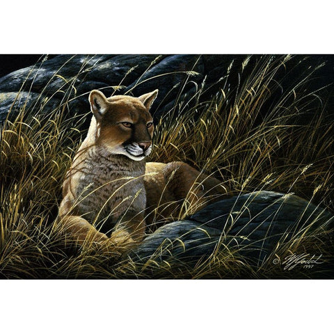 Cougar In The Grass Gold Ornate Wood Framed Art Print with Double Matting by Goebel, Wilhelm