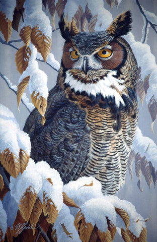 Winter Watch - Great Horned Owl Black Ornate Wood Framed Art Print with Double Matting by Goebel, Wilhelm