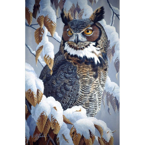 Winter Watch - Great Horned Owl White Modern Wood Framed Art Print by Goebel, Wilhelm