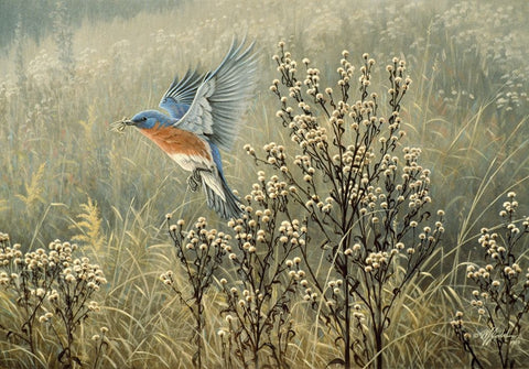 October Meadow White Modern Wood Framed Art Print with Double Matting by Goebel, Wilhelm