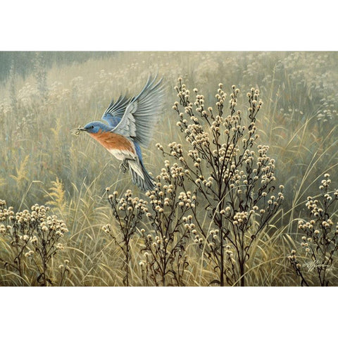 October Meadow Black Modern Wood Framed Art Print with Double Matting by Goebel, Wilhelm