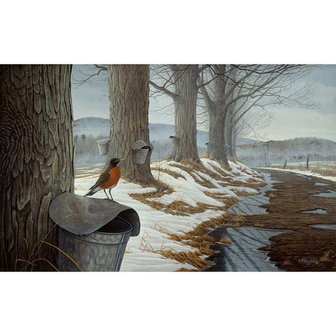 March Into Spring White Modern Wood Framed Art Print by Goebel, Wilhelm