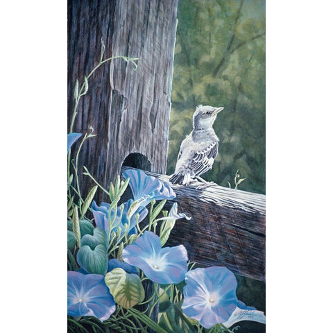 The Fledgling - Young Mockingbird Black Modern Wood Framed Art Print with Double Matting by Goebel, Wilhelm