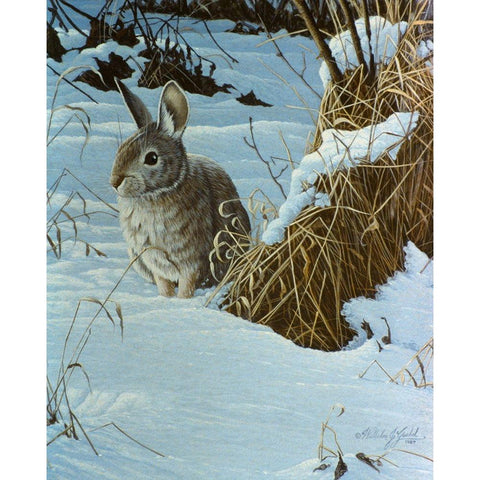 Snow Cover Cottontail White Modern Wood Framed Art Print by Goebel, Wilhelm