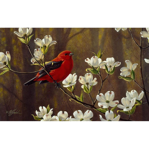 Spring Light White Modern Wood Framed Art Print by Goebel, Wilhelm