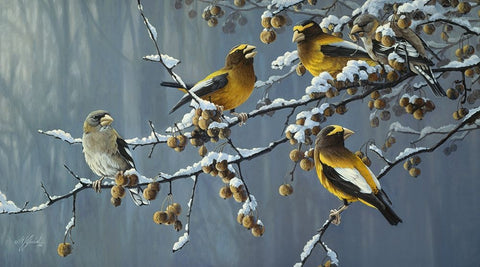 Winters Treat Black Ornate Wood Framed Art Print with Double Matting by Goebel, Wilhelm