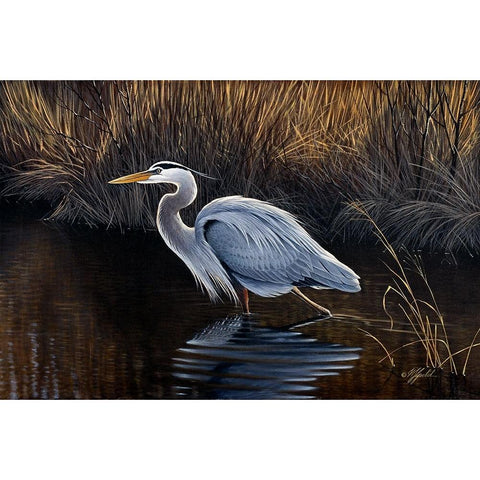 Making Strides - Great Blue Heron Gold Ornate Wood Framed Art Print with Double Matting by Goebel, Wilhelm