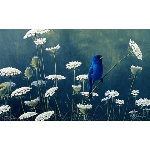 Indigo And Lace - Indigo Bunting Gold Ornate Wood Framed Art Print with Double Matting by Goebel, Wilhelm