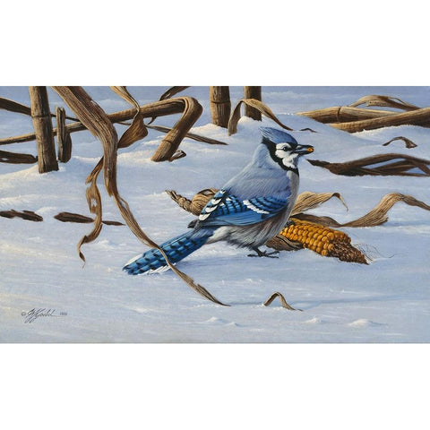 Bluejay Black Modern Wood Framed Art Print by Goebel, Wilhelm