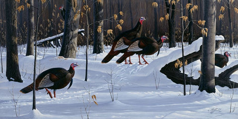 Windfall Crossing Black Ornate Wood Framed Art Print with Double Matting by Goebel, Wilhelm