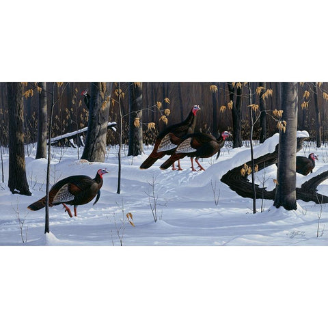 Windfall Crossing Black Modern Wood Framed Art Print by Goebel, Wilhelm