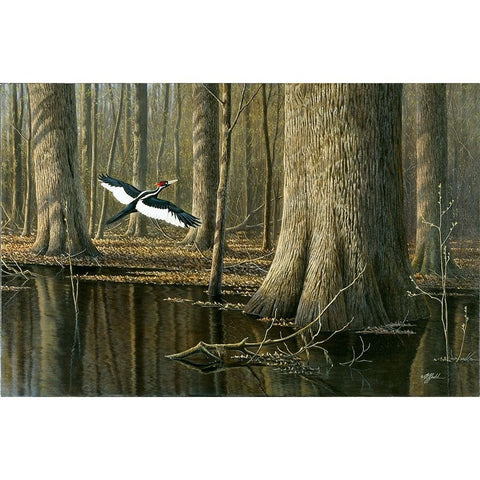 Still Flying White Modern Wood Framed Art Print by Goebel, Wilhelm