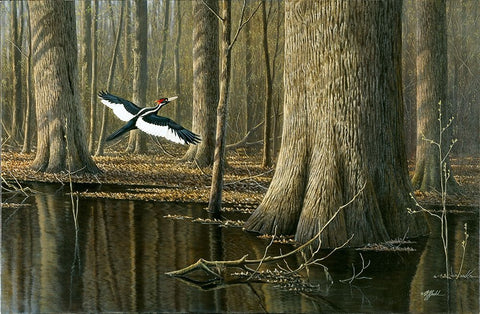 Still Flying Black Ornate Wood Framed Art Print with Double Matting by Goebel, Wilhelm