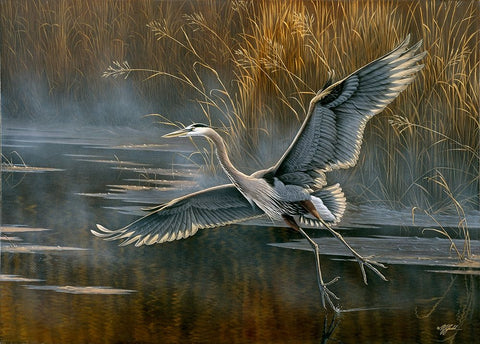 Misty Flight Black Ornate Wood Framed Art Print with Double Matting by Goebel, Wilhelm