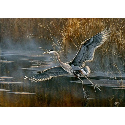 Misty Flight White Modern Wood Framed Art Print by Goebel, Wilhelm