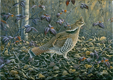 In The Rough White Modern Wood Framed Art Print with Double Matting by Goebel, Wilhelm