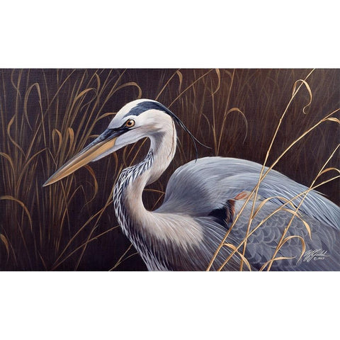 Great Blue Heron Gold Ornate Wood Framed Art Print with Double Matting by Goebel, Wilhelm