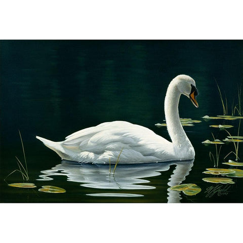 Stillwater White Modern Wood Framed Art Print by Goebel, Wilhelm