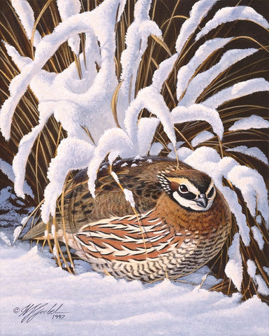 Hiding Quail White Modern Wood Framed Art Print with Double Matting by Goebel, Wilhelm