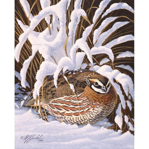 Hiding Quail White Modern Wood Framed Art Print by Goebel, Wilhelm