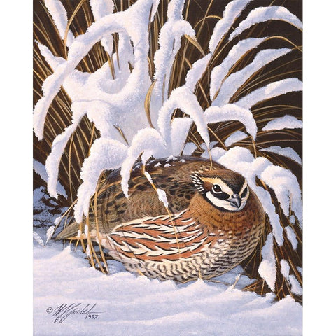 Hiding Quail Gold Ornate Wood Framed Art Print with Double Matting by Goebel, Wilhelm