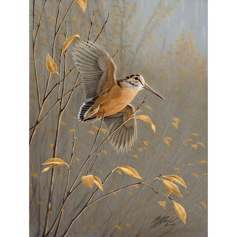 Out Of Cover Gold Ornate Wood Framed Art Print with Double Matting by Goebel, Wilhelm