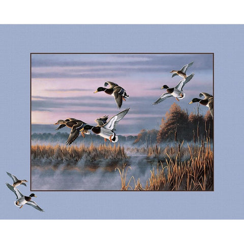 Ducks In Flight 1 White Modern Wood Framed Art Print by Goebel, Wilhelm